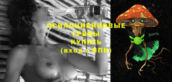твердый Белокуриха
