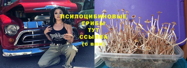 твердый Белокуриха